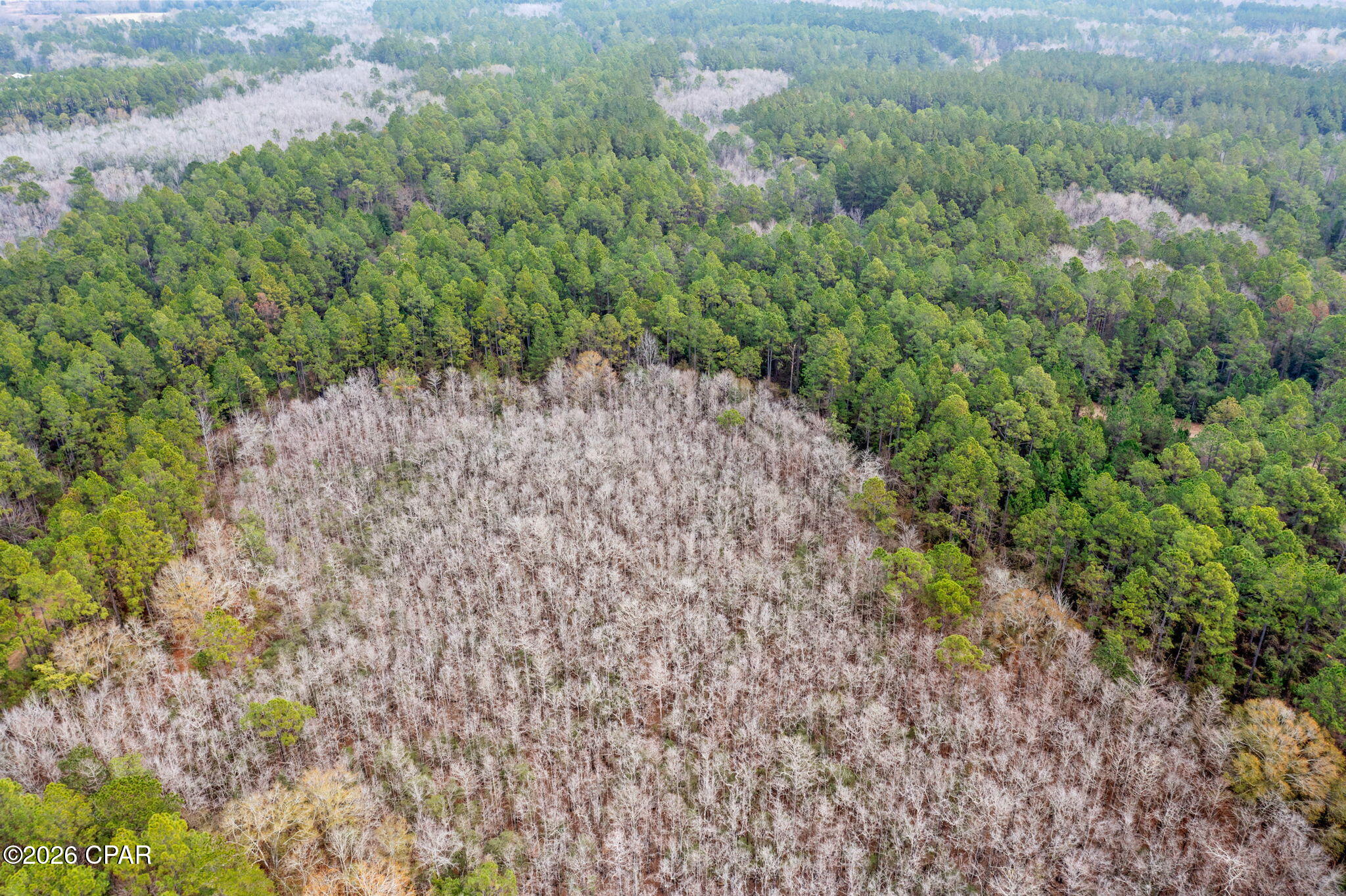 Image 13 For Xxx Hawthorne Trail