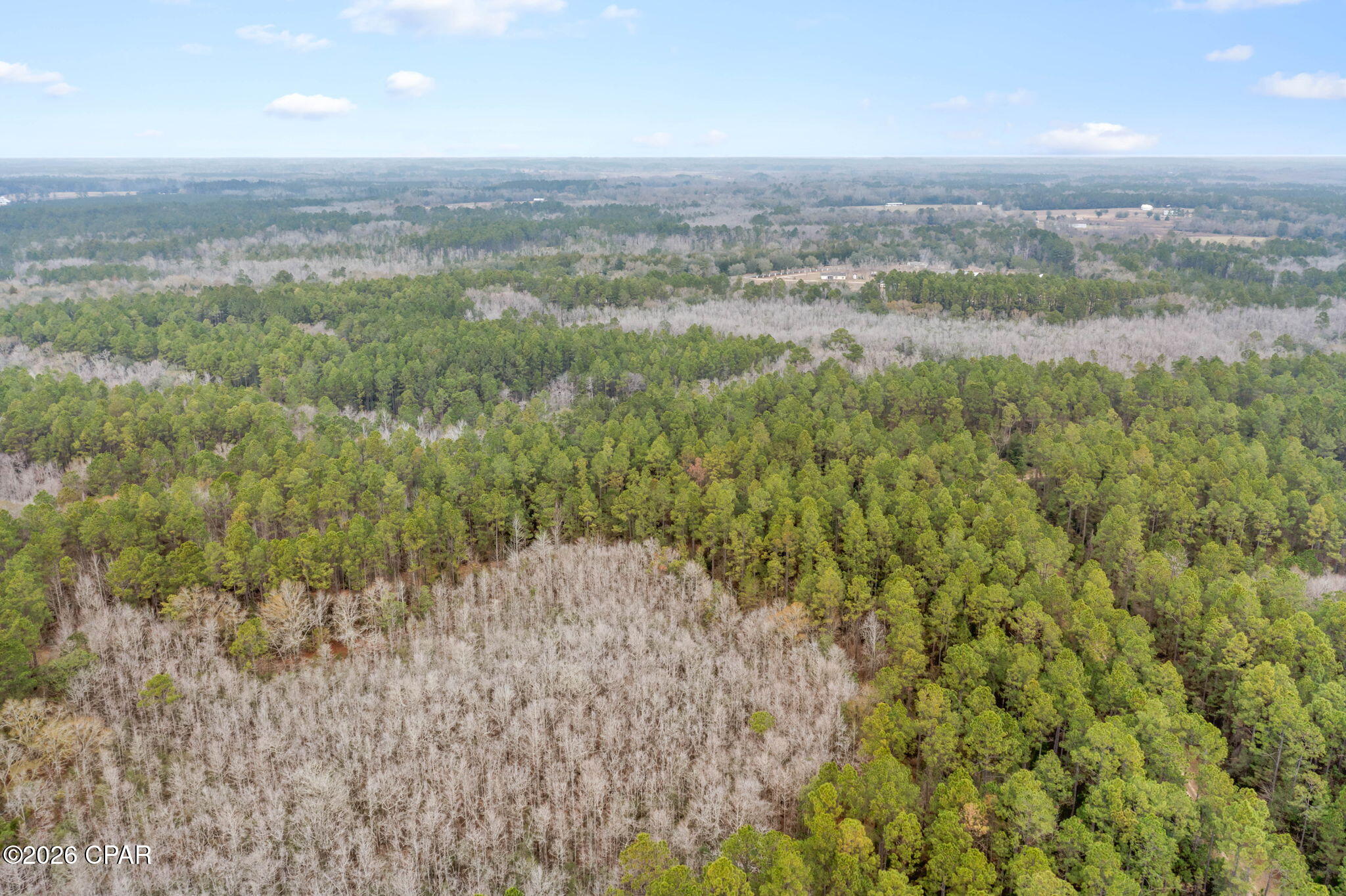 Image 14 For Xxx Hawthorne Trail