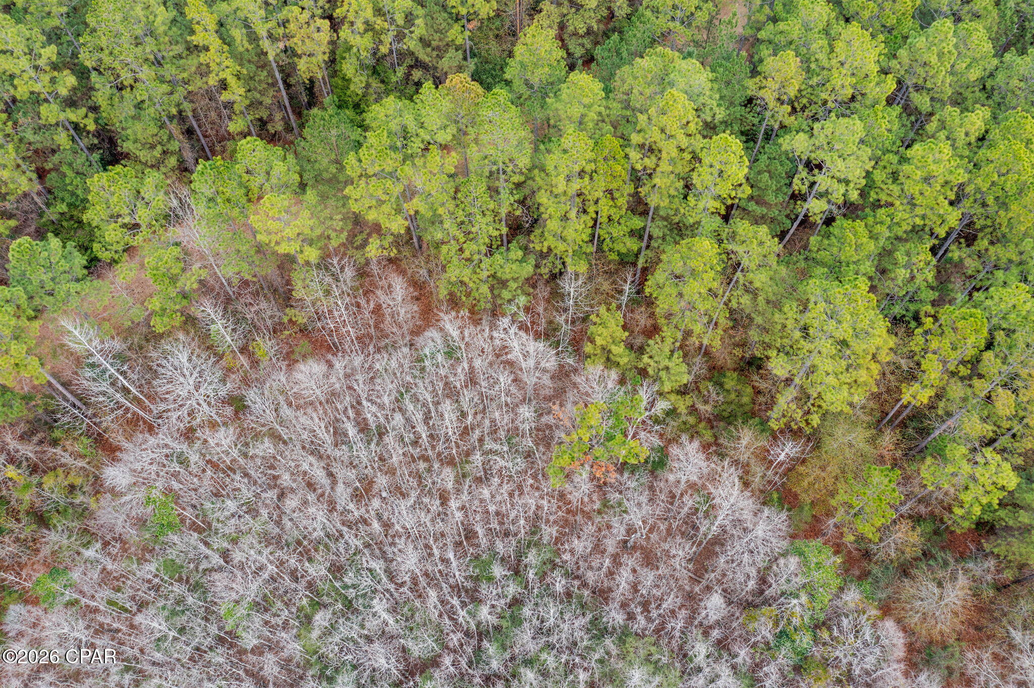 Image 16 For Xxx Hawthorne Trail