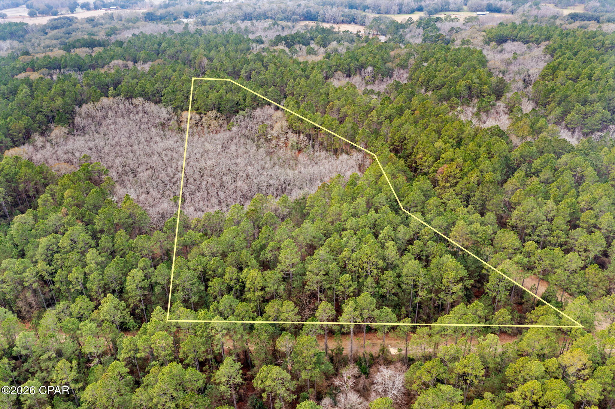 Image 3 For Xxx Hawthorne Trail