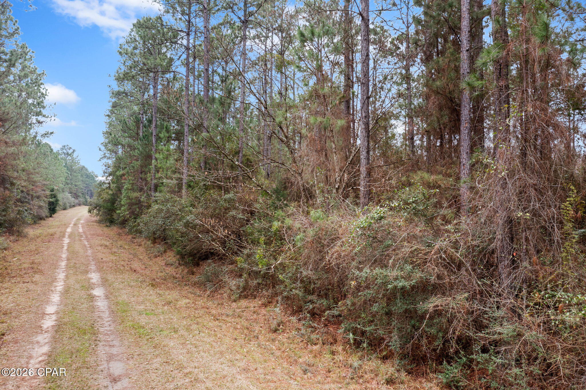 Image 6 For Xxx Hawthorne Trail