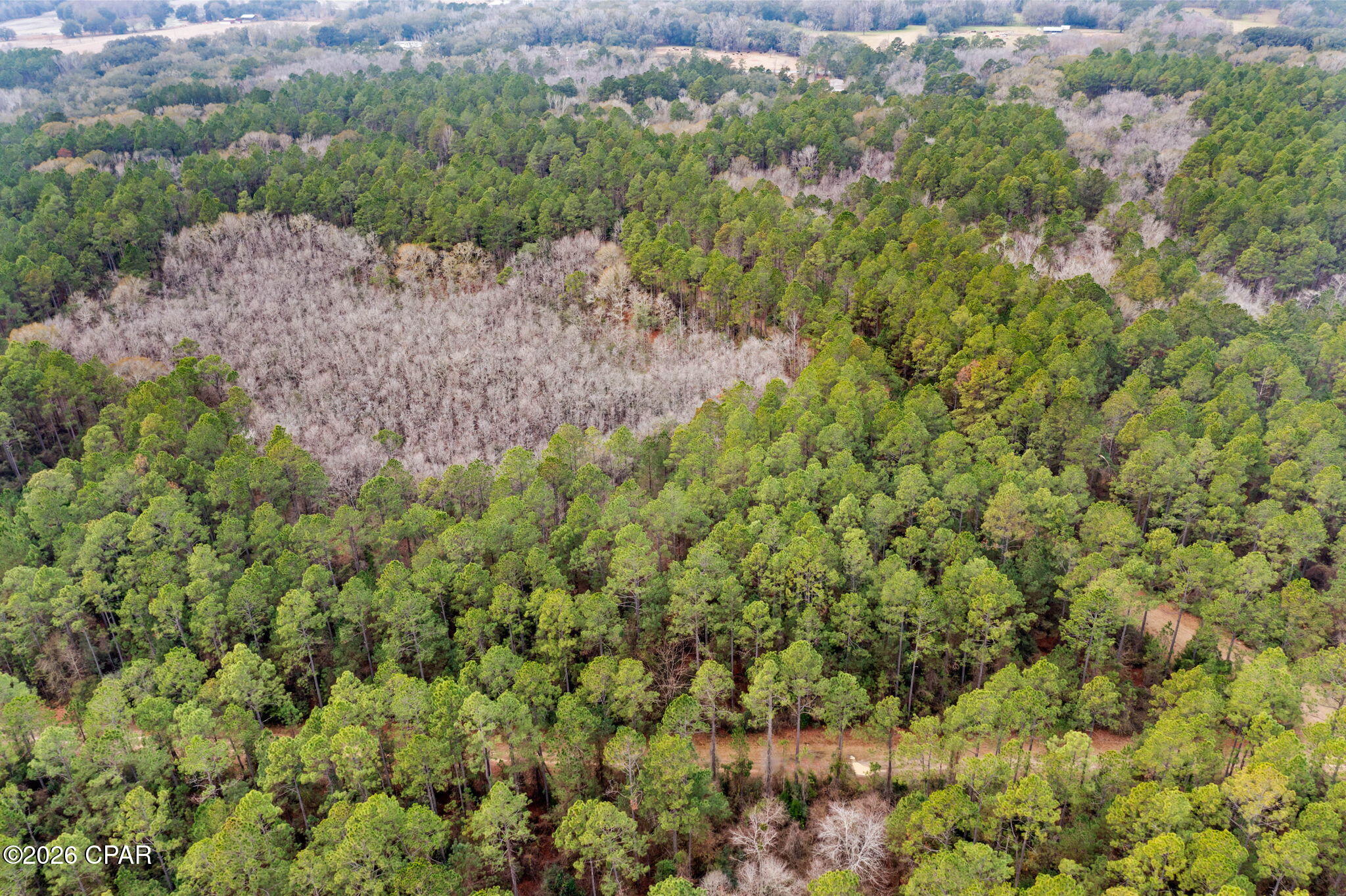 Image 7 For Xxx Hawthorne Trail