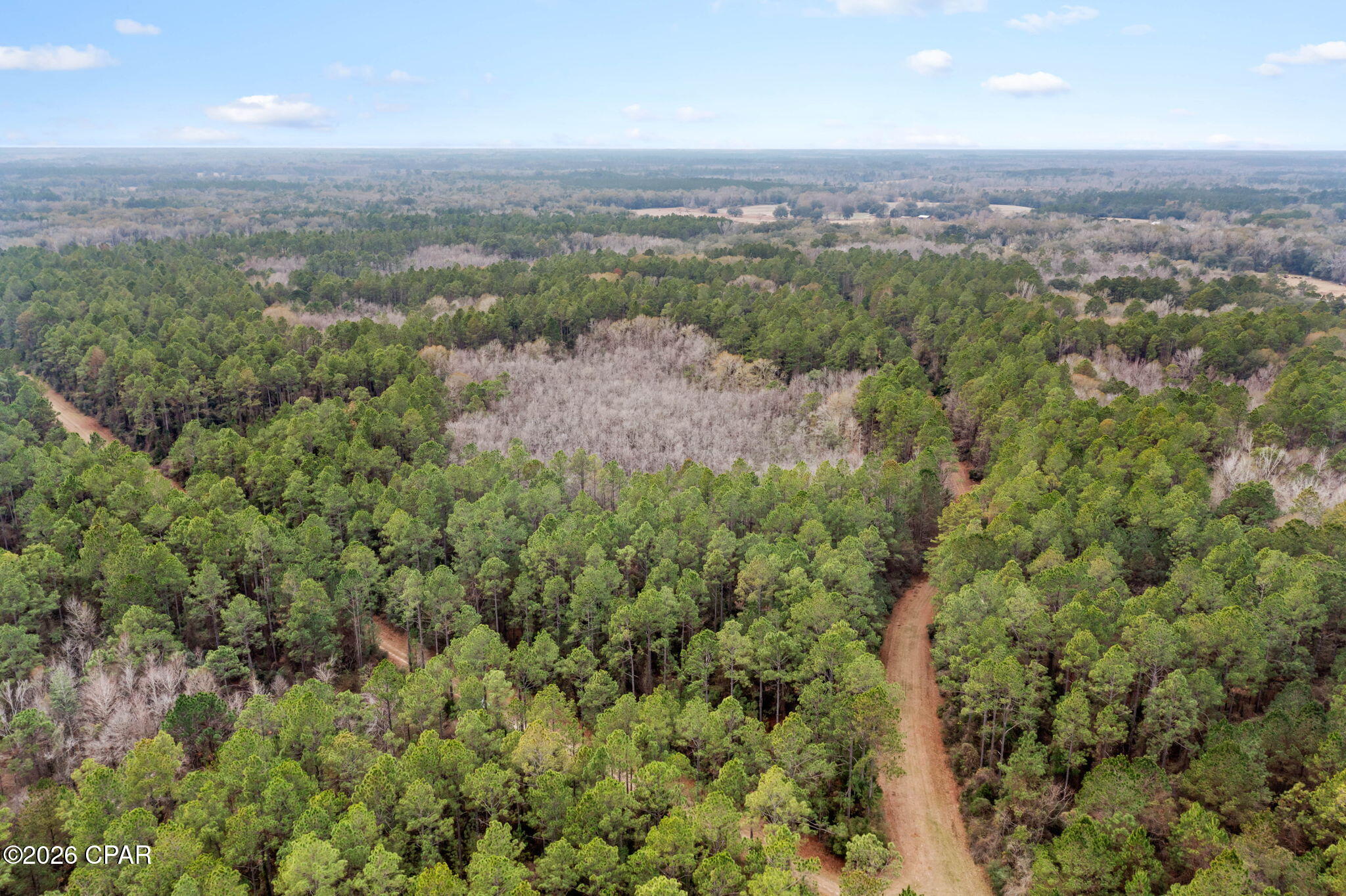 Image 8 For Xxx Hawthorne Trail