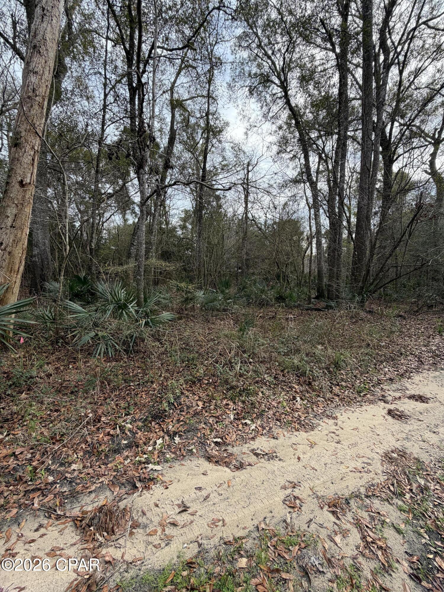 Homes for sale in Ponce De Leon, FL | 0 Big Cedar Rd, Ponce De Leon, FL 32455 | MLS# 784172