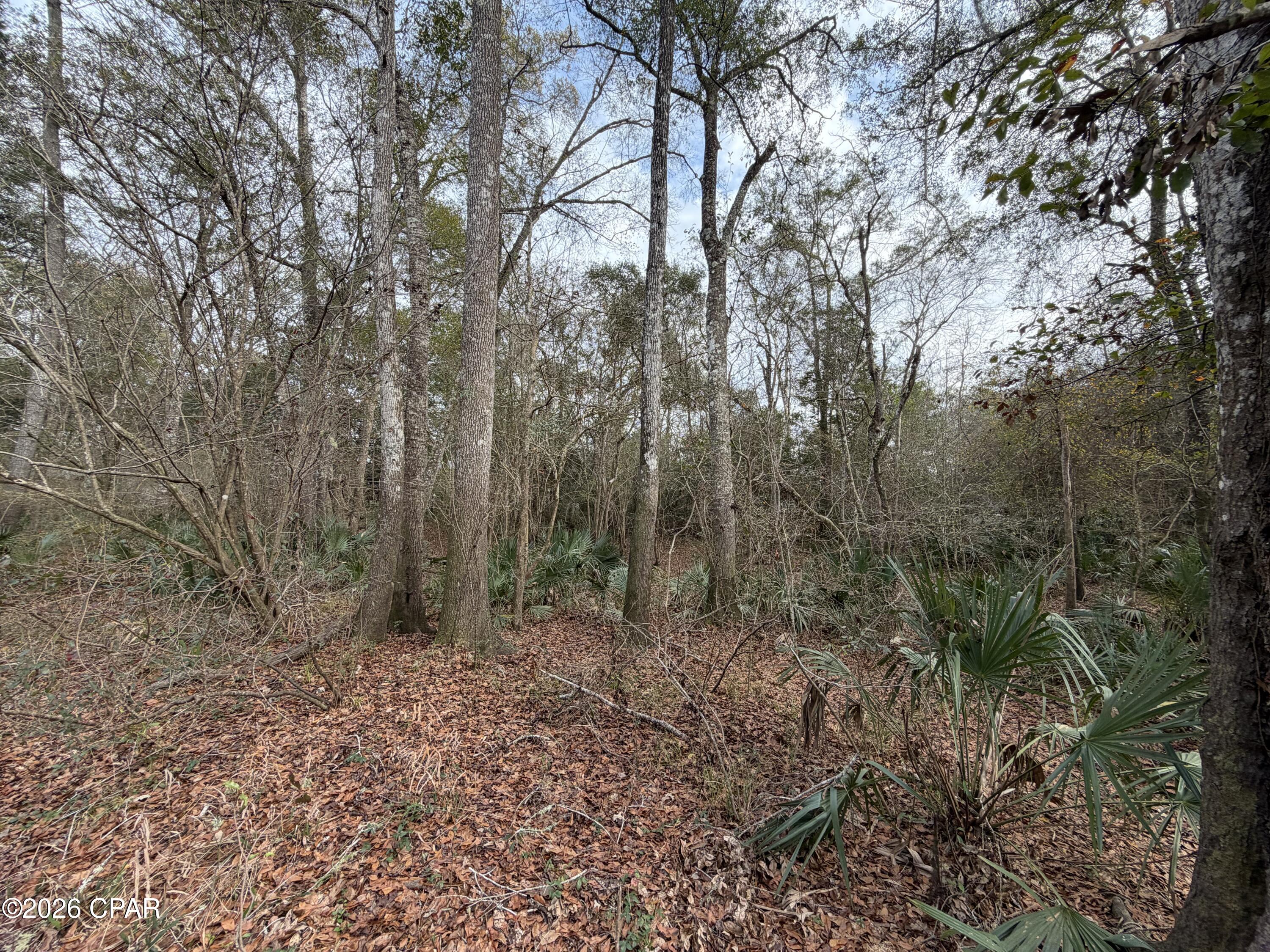 Homes for sale in Ponce De Leon, FL | 0 Big Cedar Rd, Ponce De Leon, FL 32455 | MLS# 784172