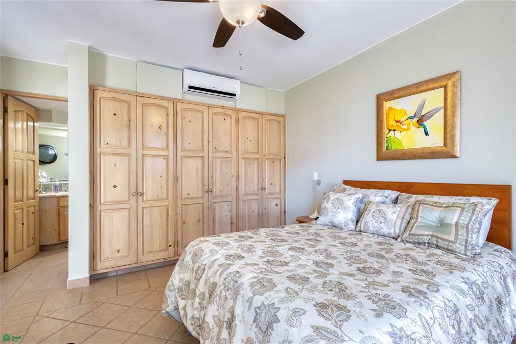 Tamar, Cabo San Lucas