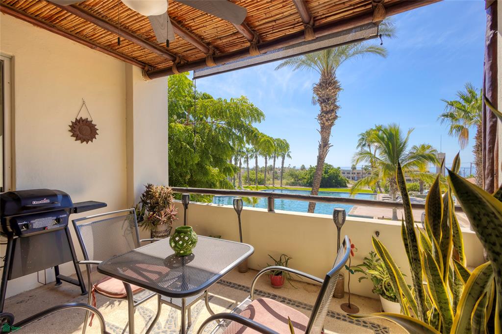 Tamar, Cabo San Lucas