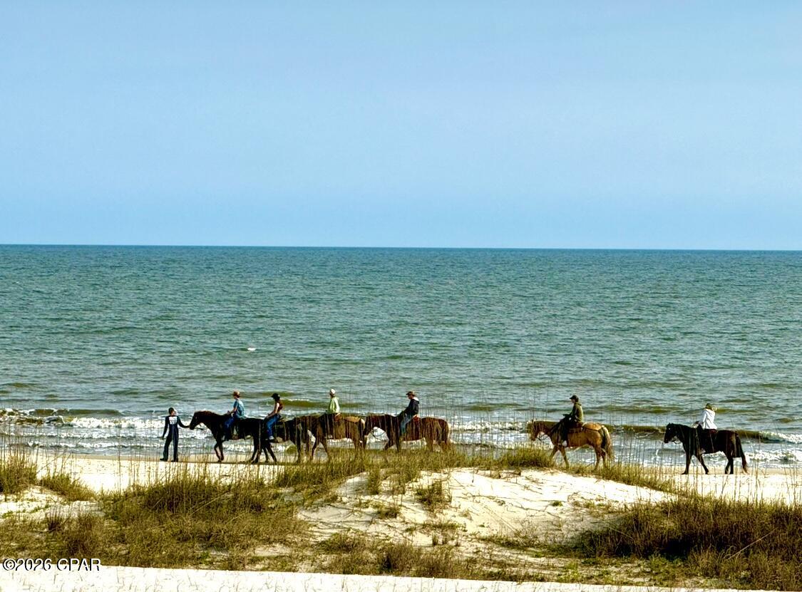 Image 77 For 170 Gulf Pines Drive