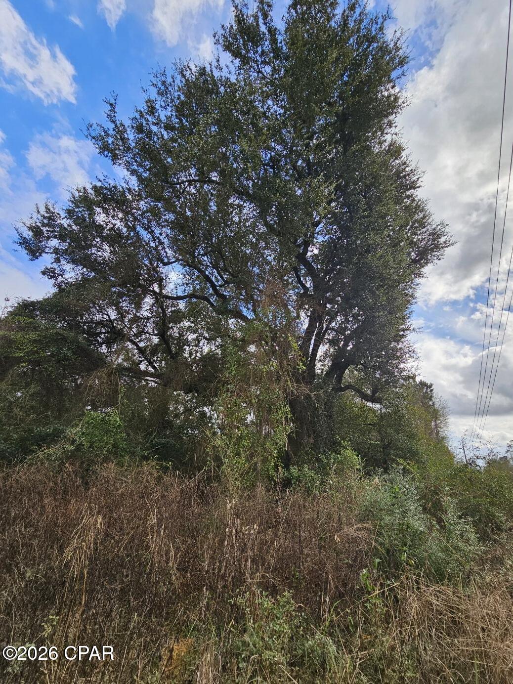 Image 5 For Tbd Kynesville Road