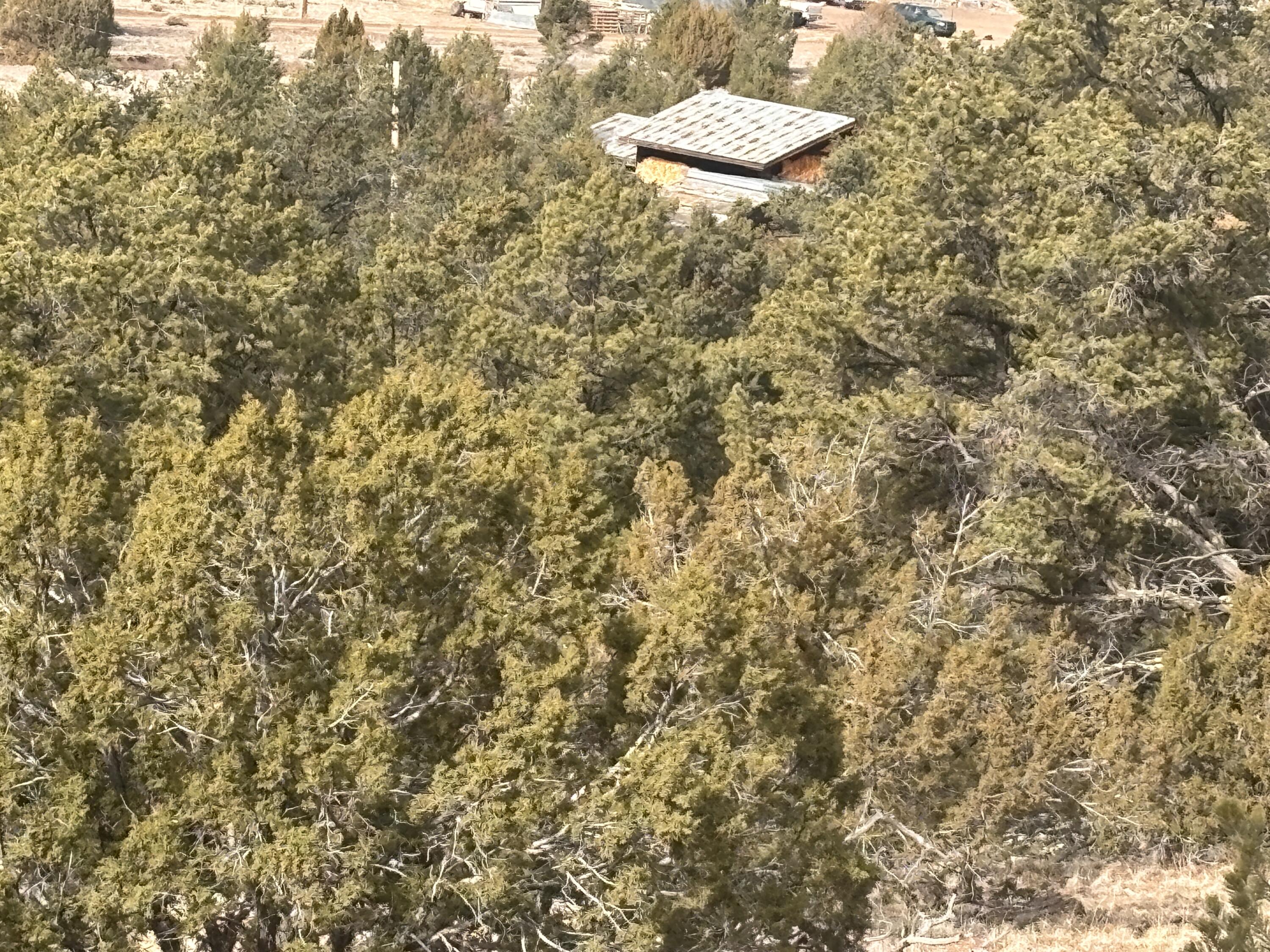 Homes for sale in Datil, NM | 227 Tee Pee Trl, Datil, NM 87821 | MLS# 1097297