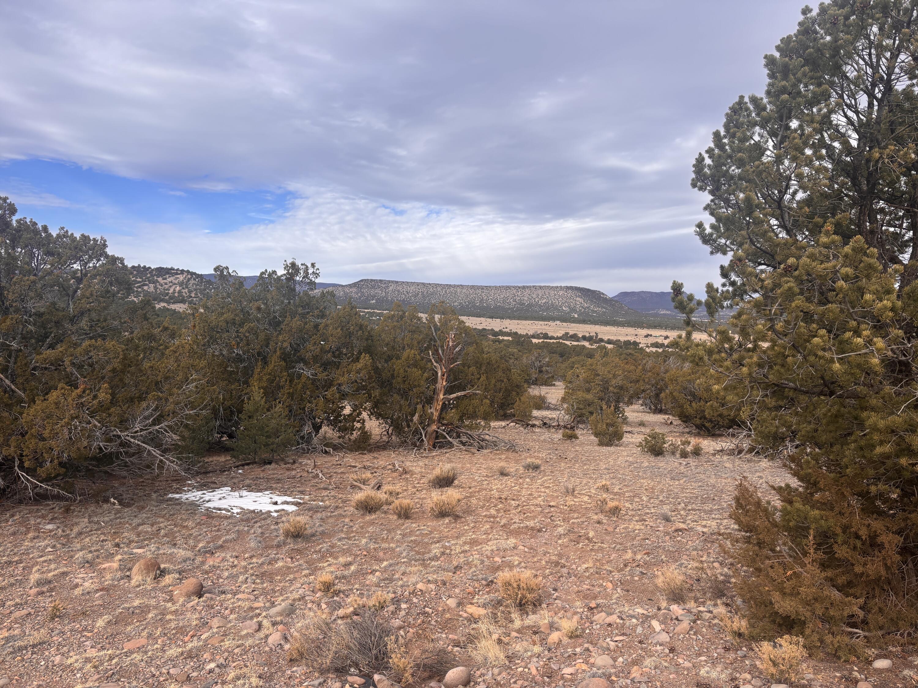 Homes for sale in Datil, NM | 227 Tee Pee Trl, Datil, NM 87821 | MLS# 1097297