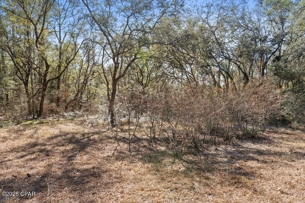 Image 61 For 1853 Winterville Lane