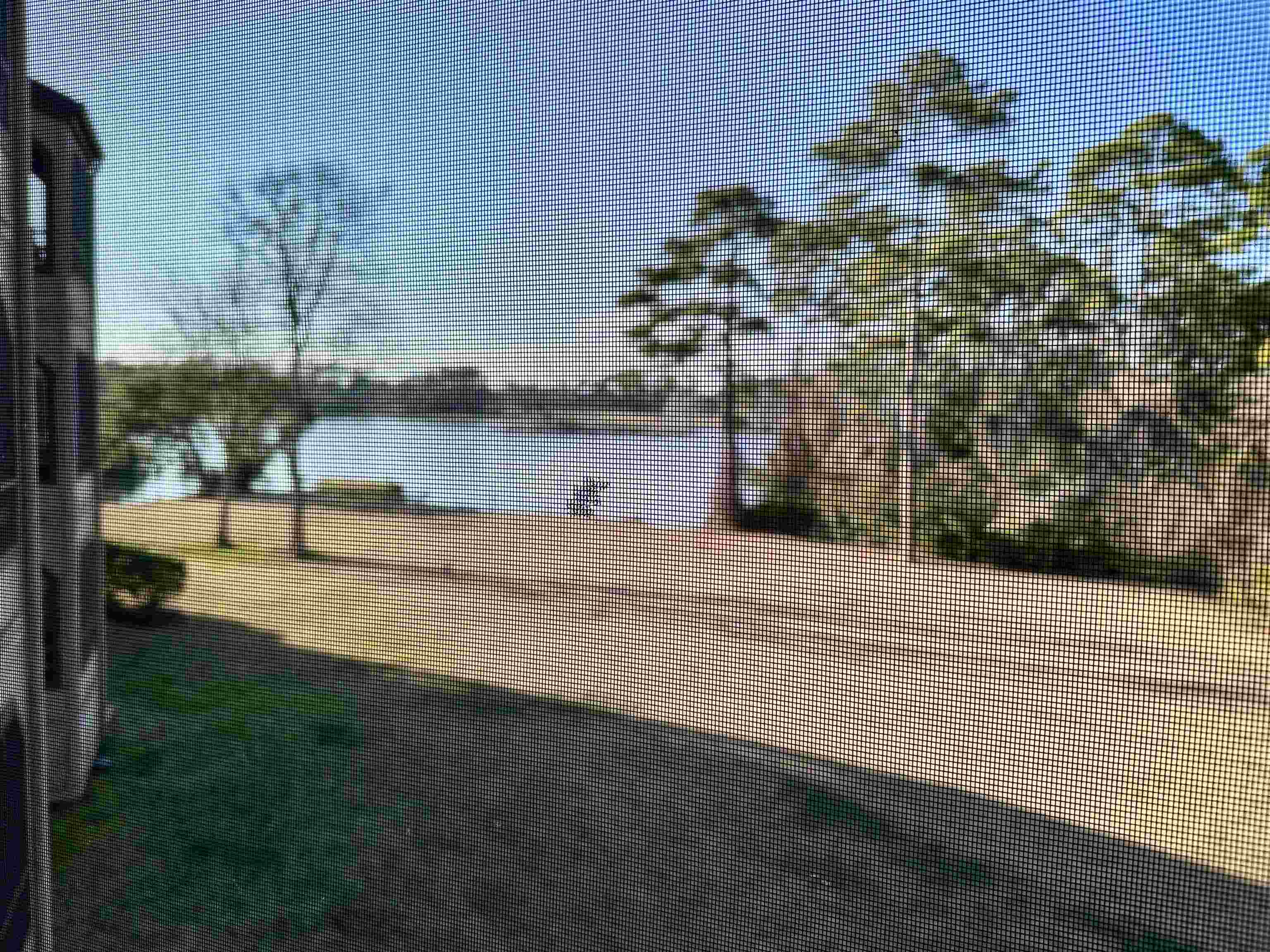 2602422 | Photo 2