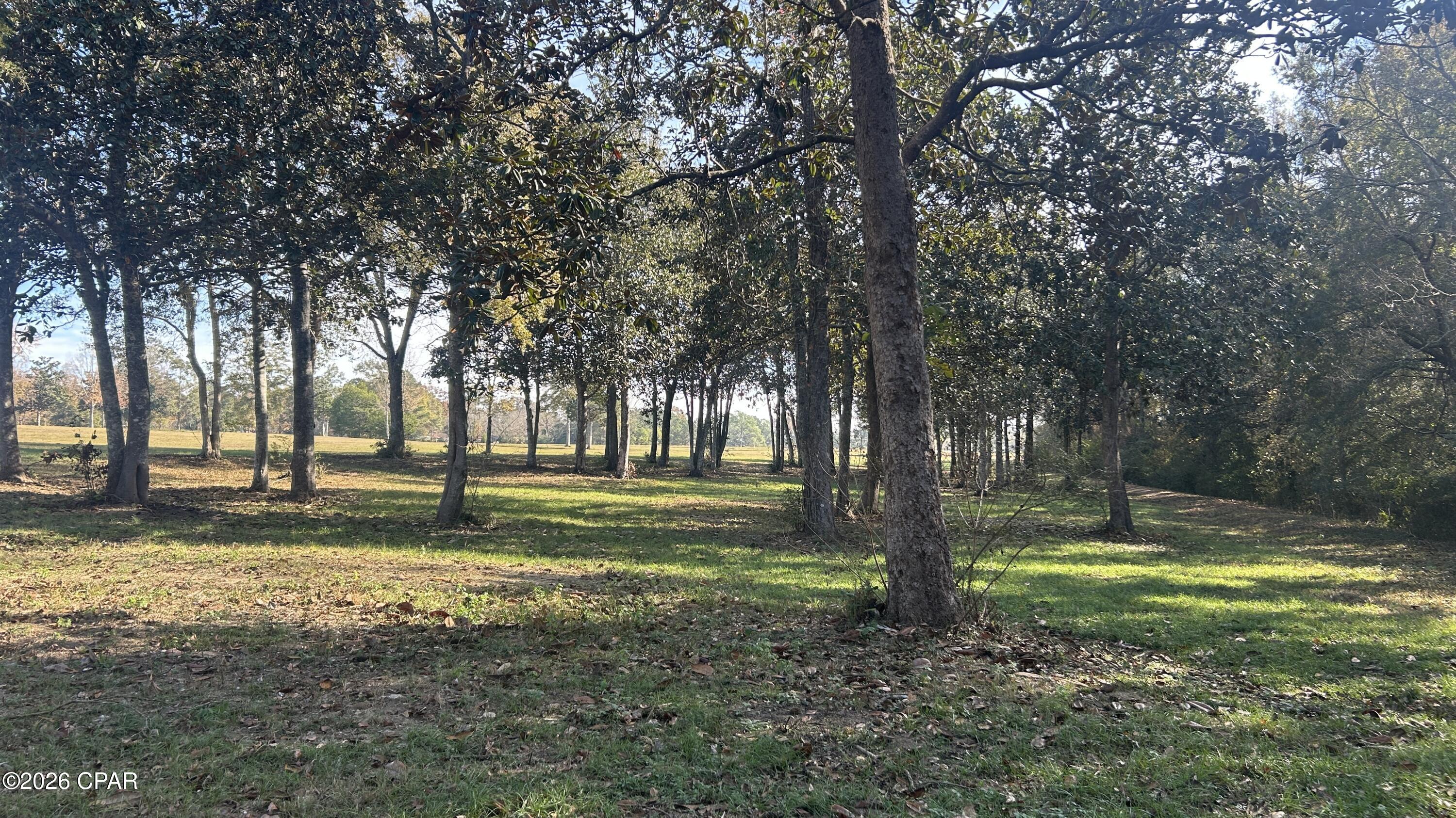 Image 15 For Sr 85 Lake  