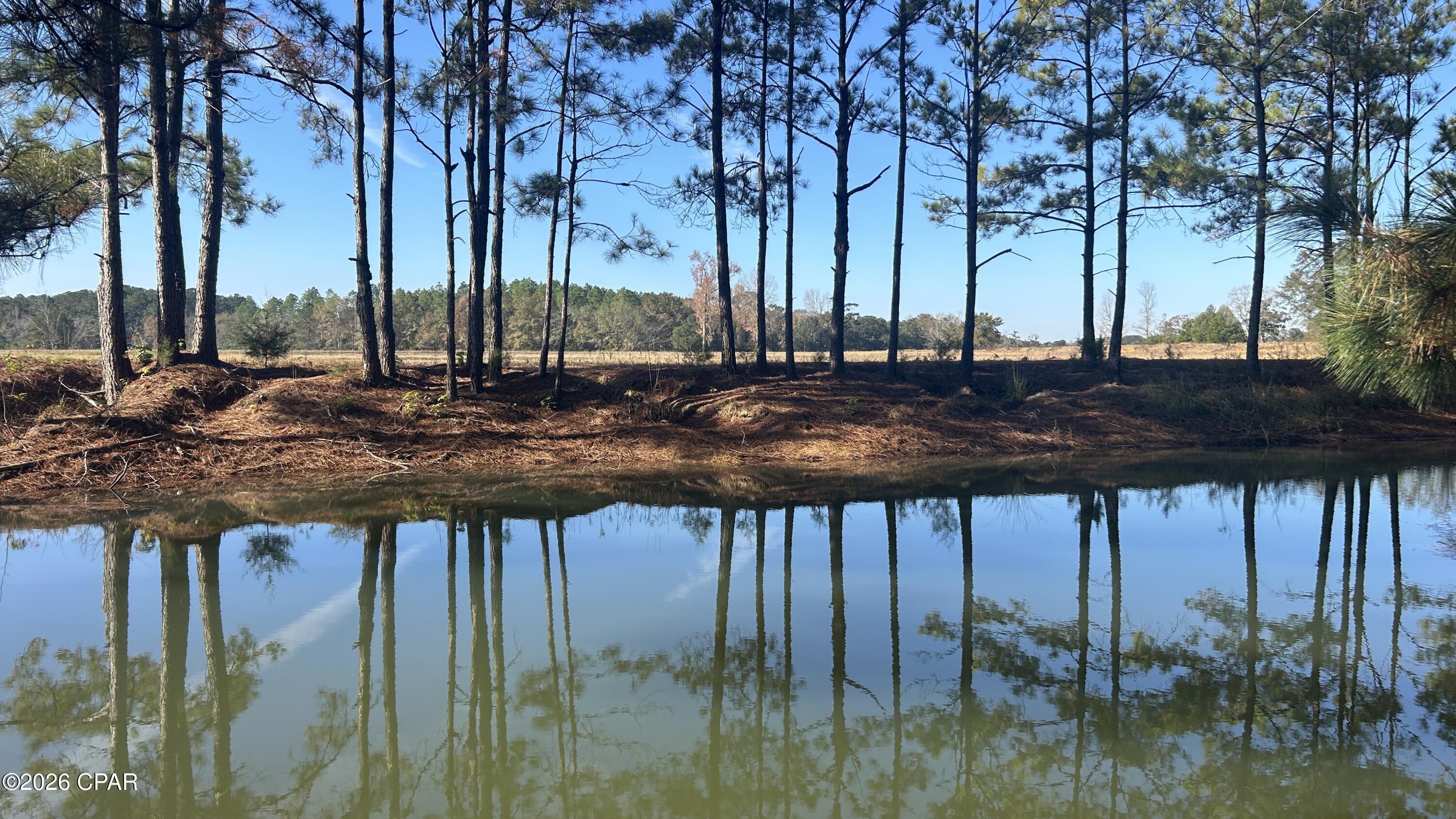 Image 5 For Sr 85 Lake  