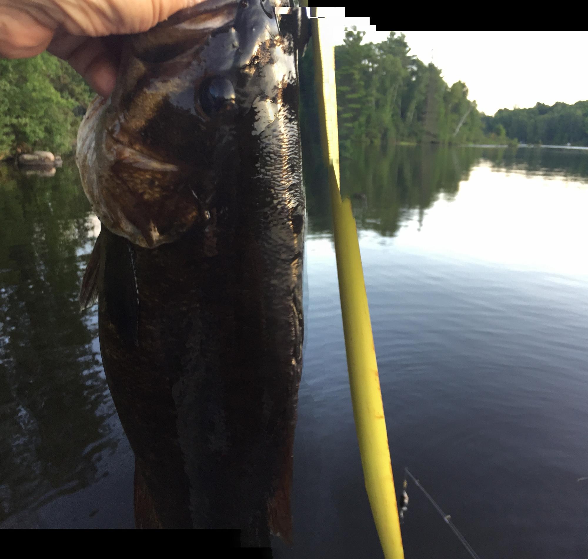 Crowley Flowage Property N13755 Crowley Shores Rd Photo 85