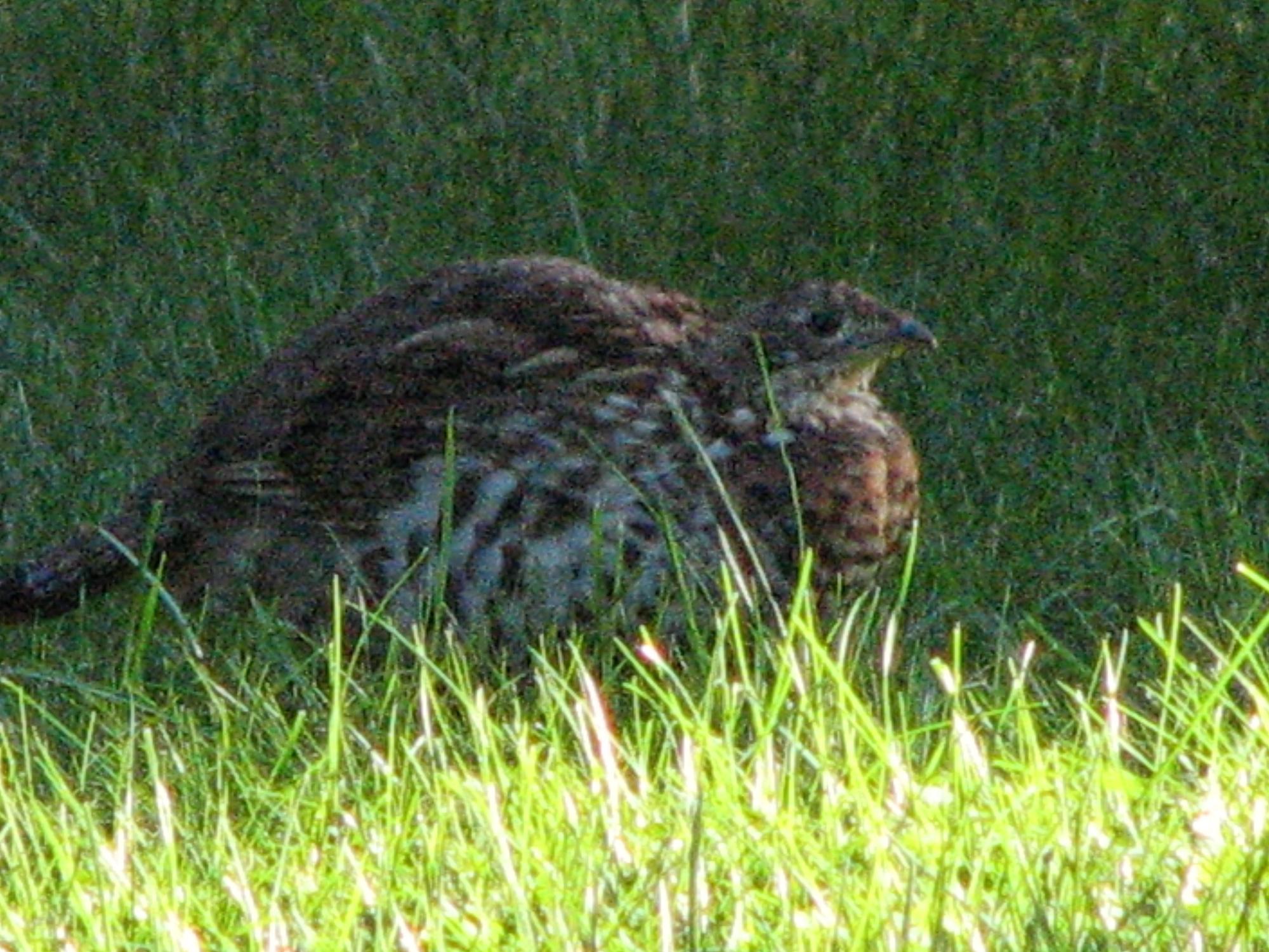 Crowley Flowage Property N13755 Crowley Shores Rd Photo 90