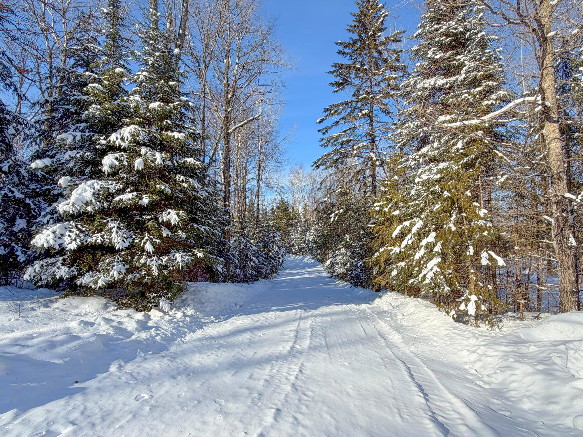 Crowley Flowage Property N13755 Crowley Shores Rd Photo 92