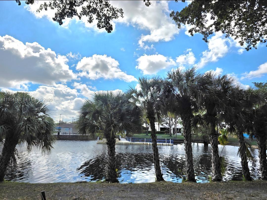 Miami Lakes Windmill Gate