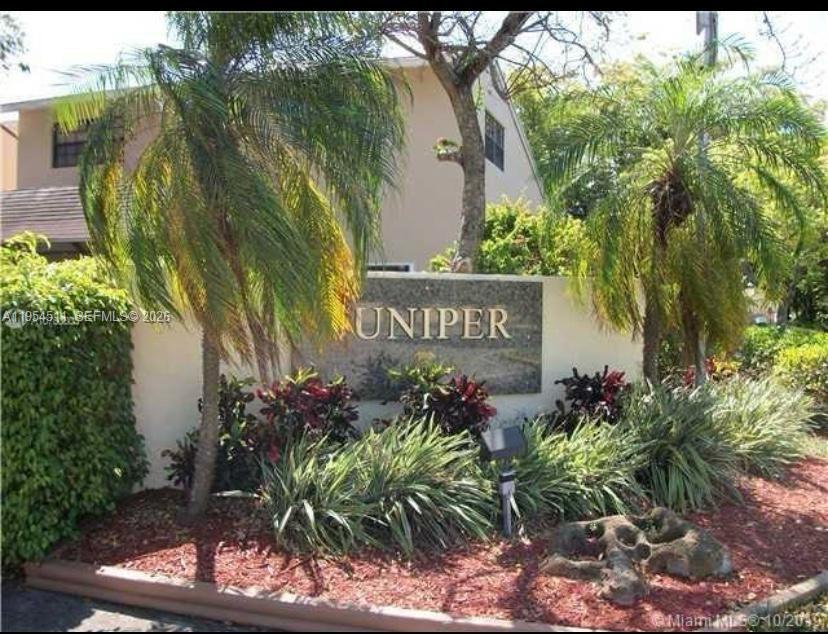 Juniper At The Hammocks