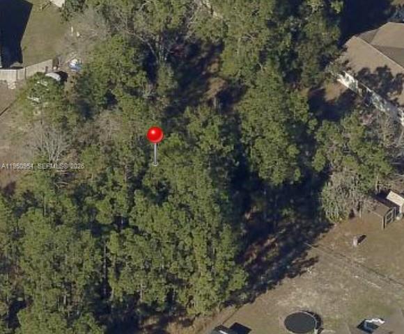 Silver Springs Shores Unit