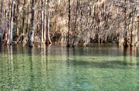 Image 10 For 000 Flynt Drive