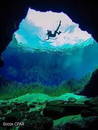 Image 5 For 000 Flynt Drive