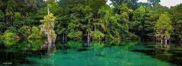 Image 8 For 000 Flynt Drive