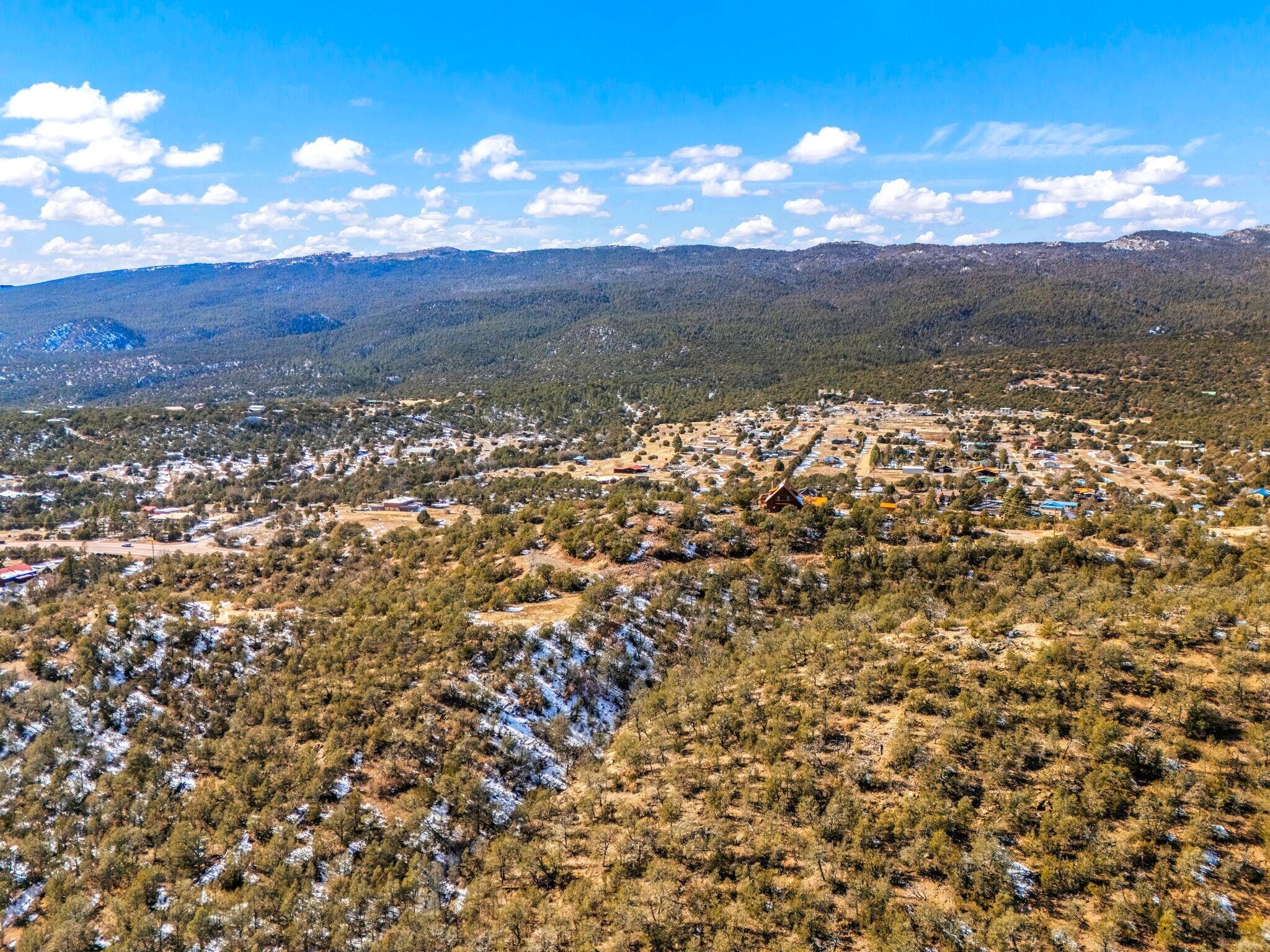 Photo 5 — 31 & 37 Bilotto Drive