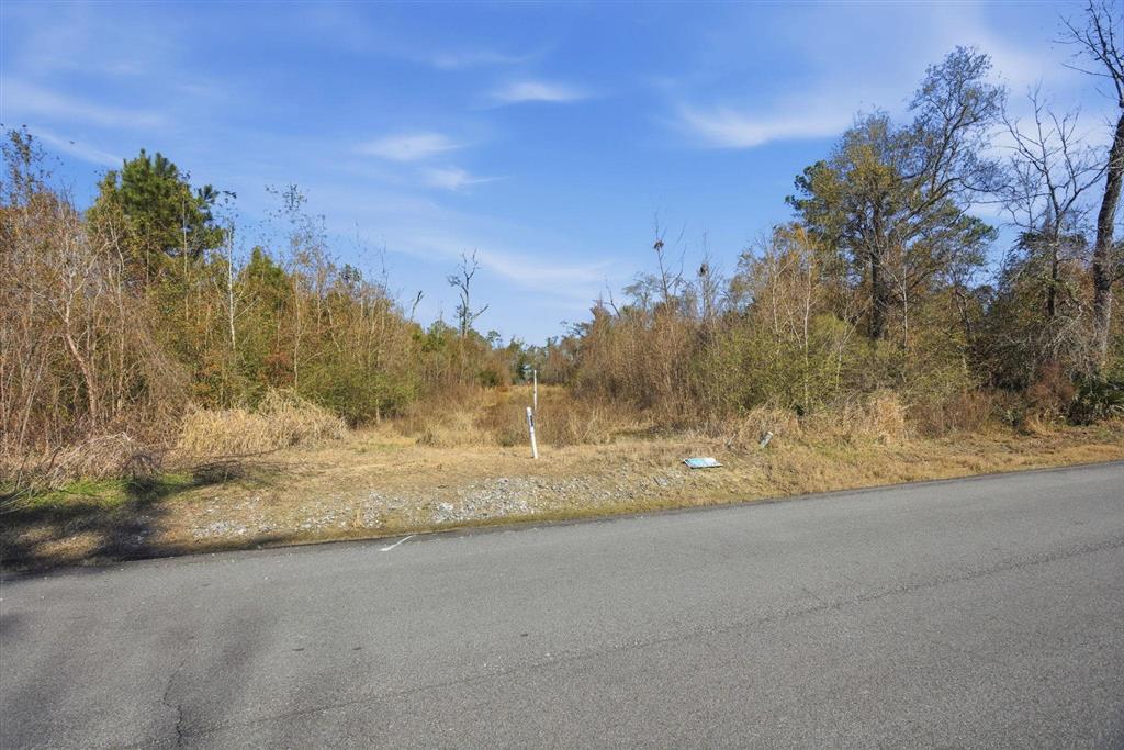 E Leichty Road — photo 4