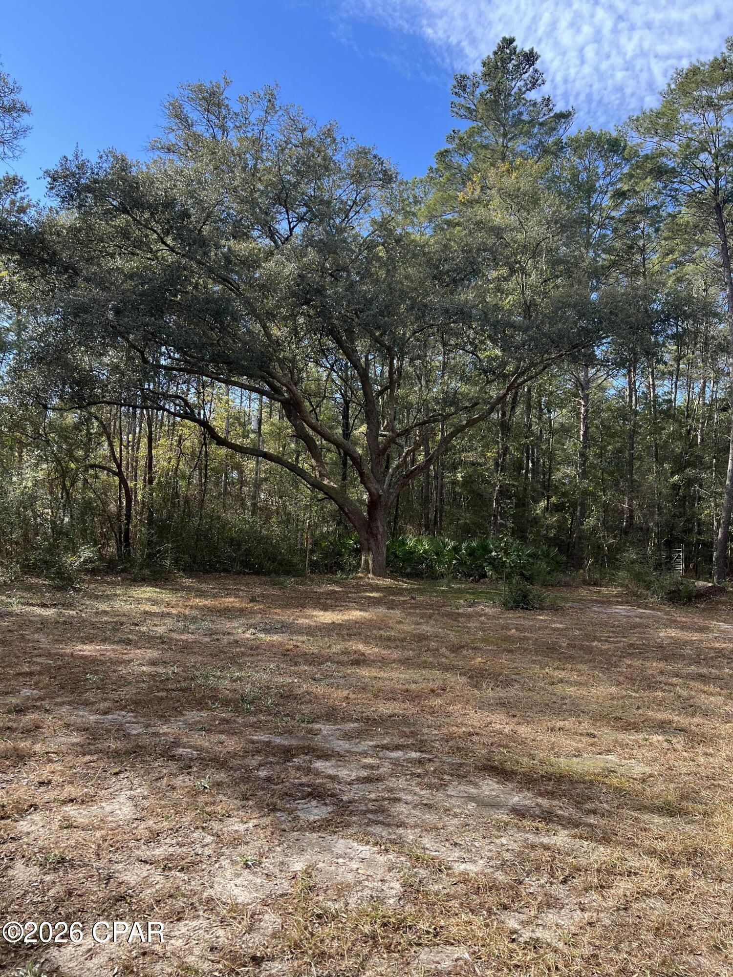 Homes for sale in Freeport, FL | 00 Orchid Ln, Freeport, FL 32439 | MLS# 784408