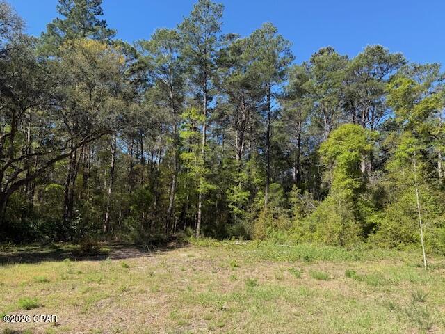 Homes for sale in Freeport, FL | 00 Orchid Ln, Freeport, FL 32439 | MLS# 784408