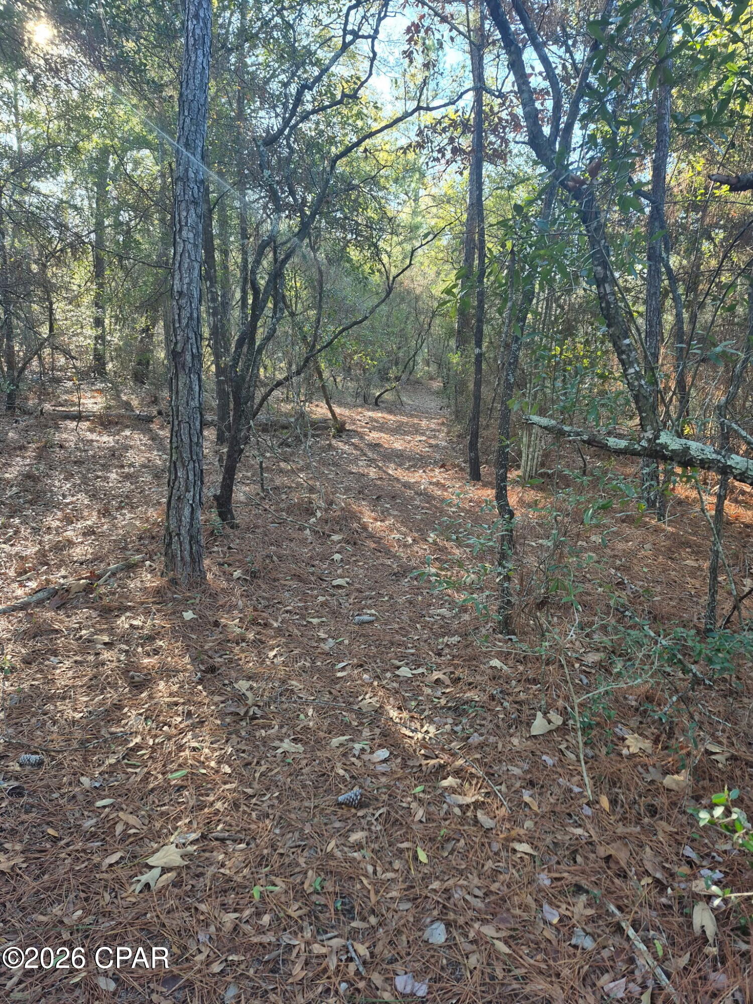 Image 26 For 2739 Bellaire Court