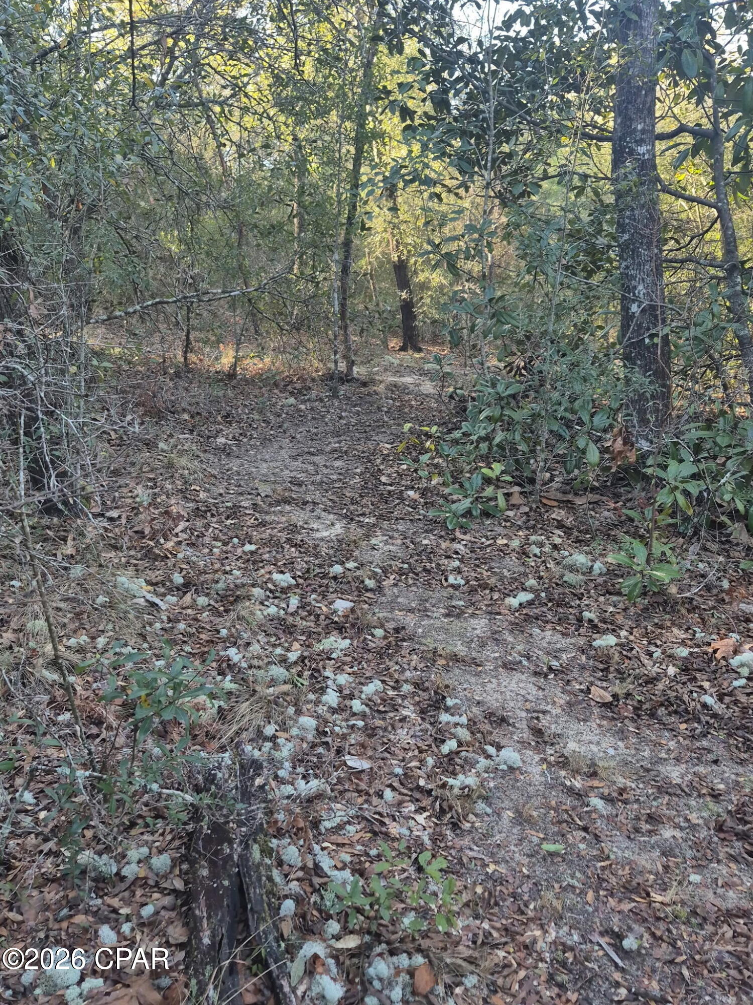 Image 27 For 2739 Bellaire Court