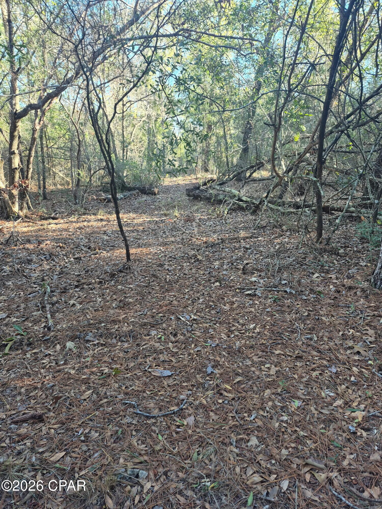 Image 28 For 2739 Bellaire Court