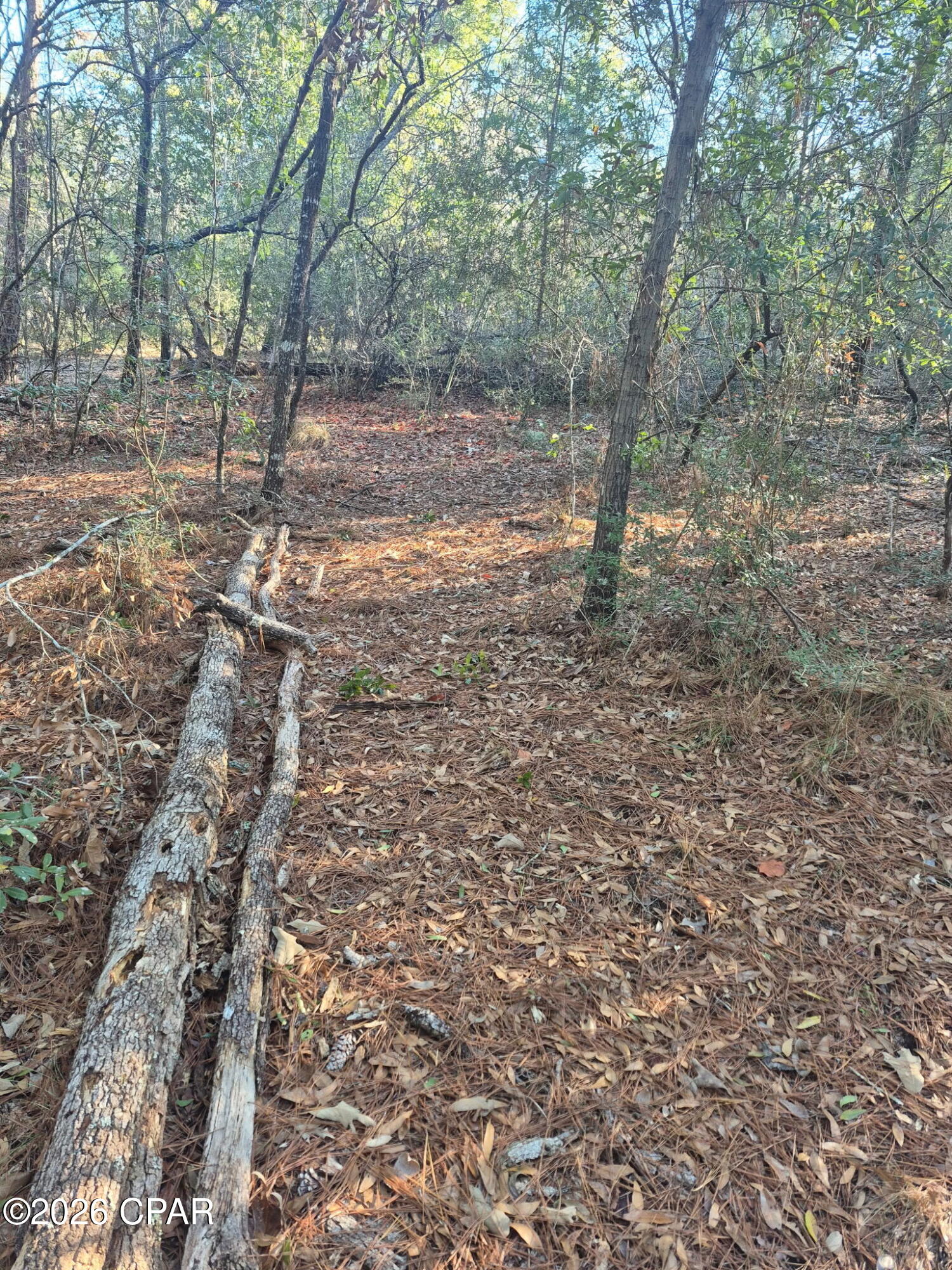 Image 29 For 2739 Bellaire Court