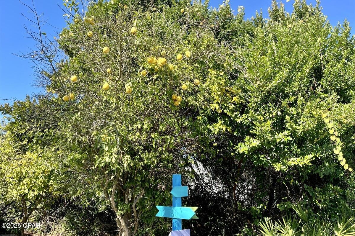 Image 38 For 182 Cathy Place