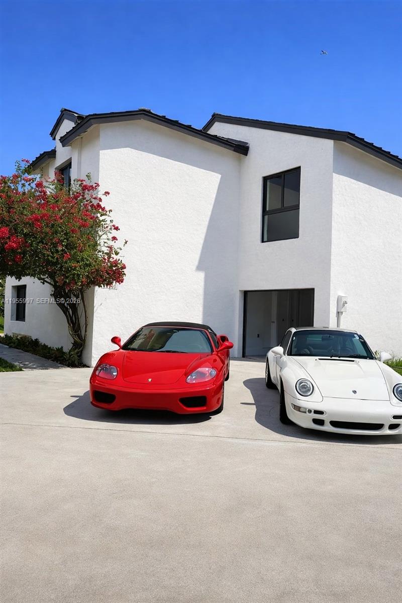 Chantarelle At The Hammoc