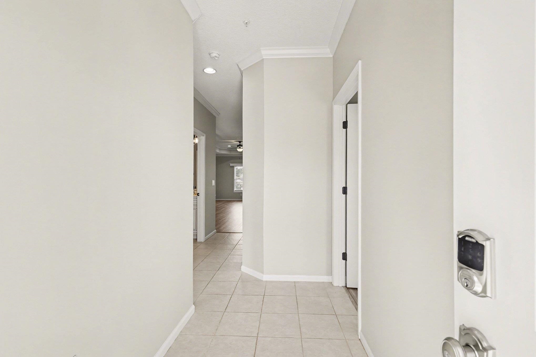 2602738 | Photo 10