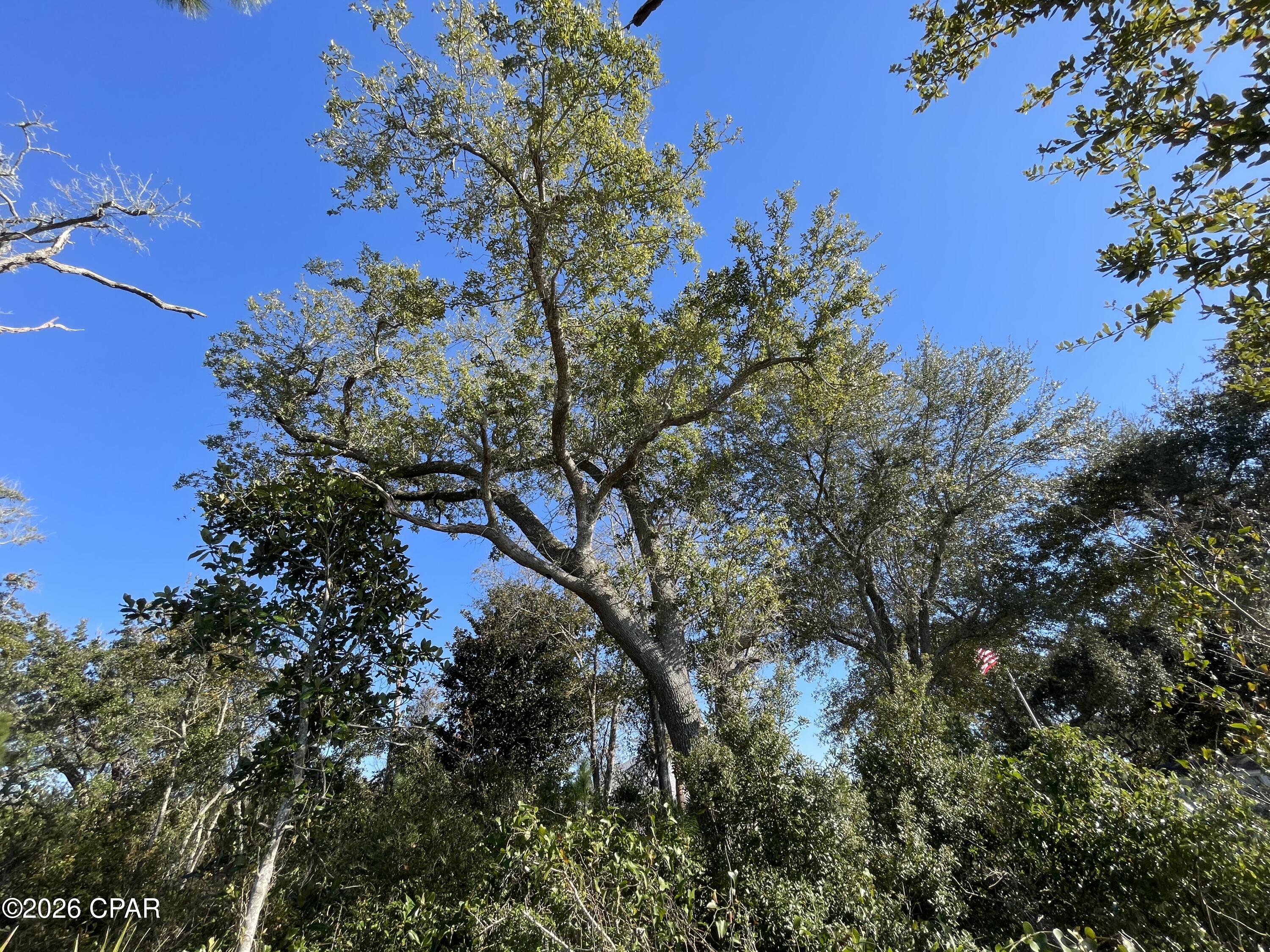 Image 10 For 5704 Highway 2297