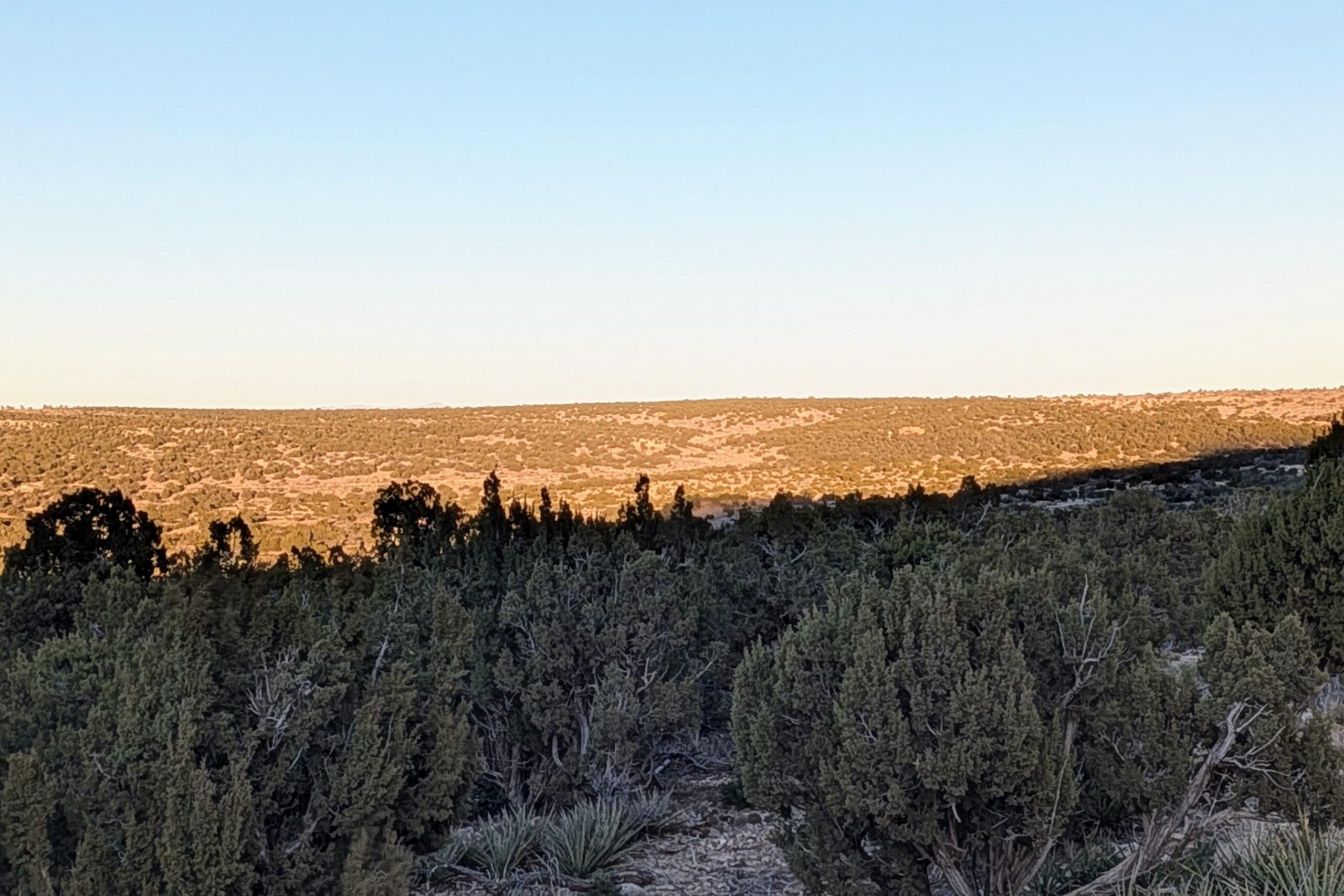 Homes for sale in Mountainair, NM | 1151 Deer Canyon Trl, Mountainair, NM 87036 | MLS# 1097532