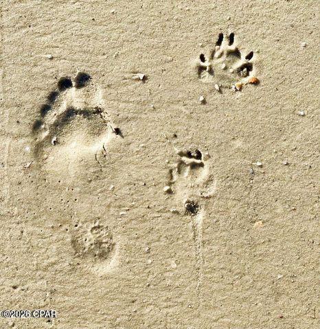 Image 47 For 135 Saltspray Court