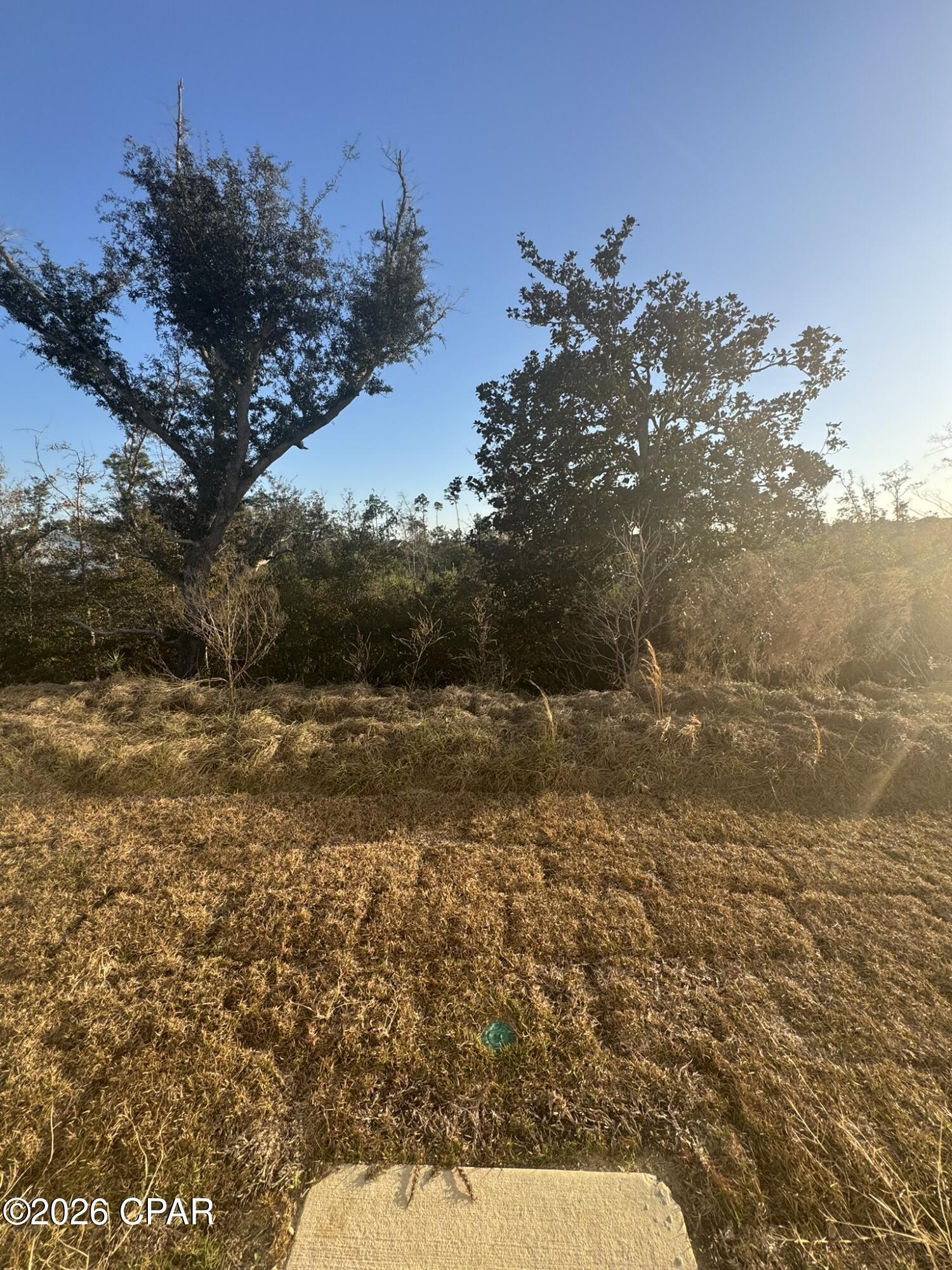 Image 35 For 3942 Lombard Street