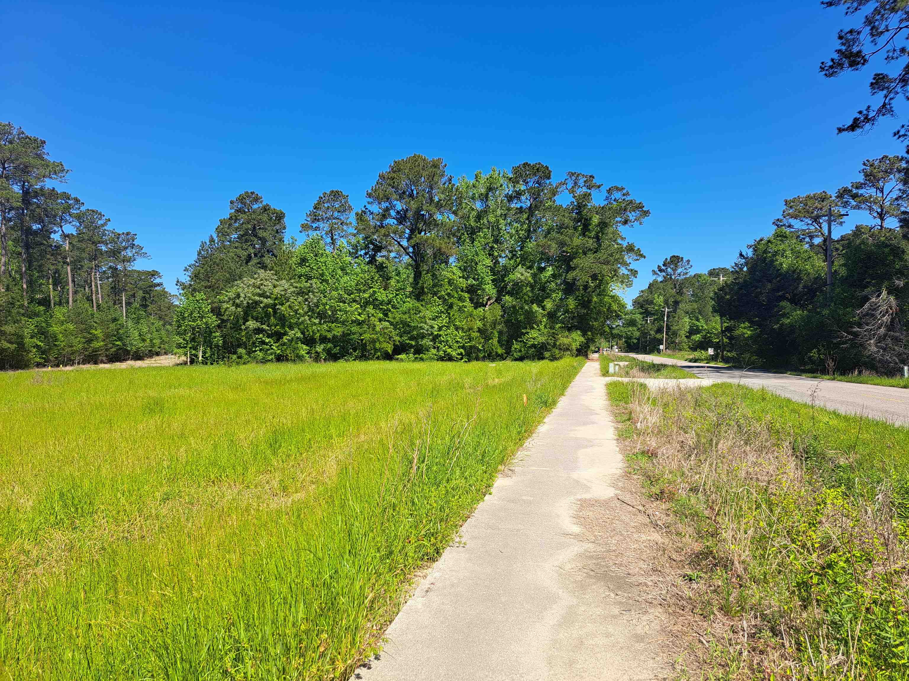 TBD Lot A Bucksport Rd. Conway, SC 29527