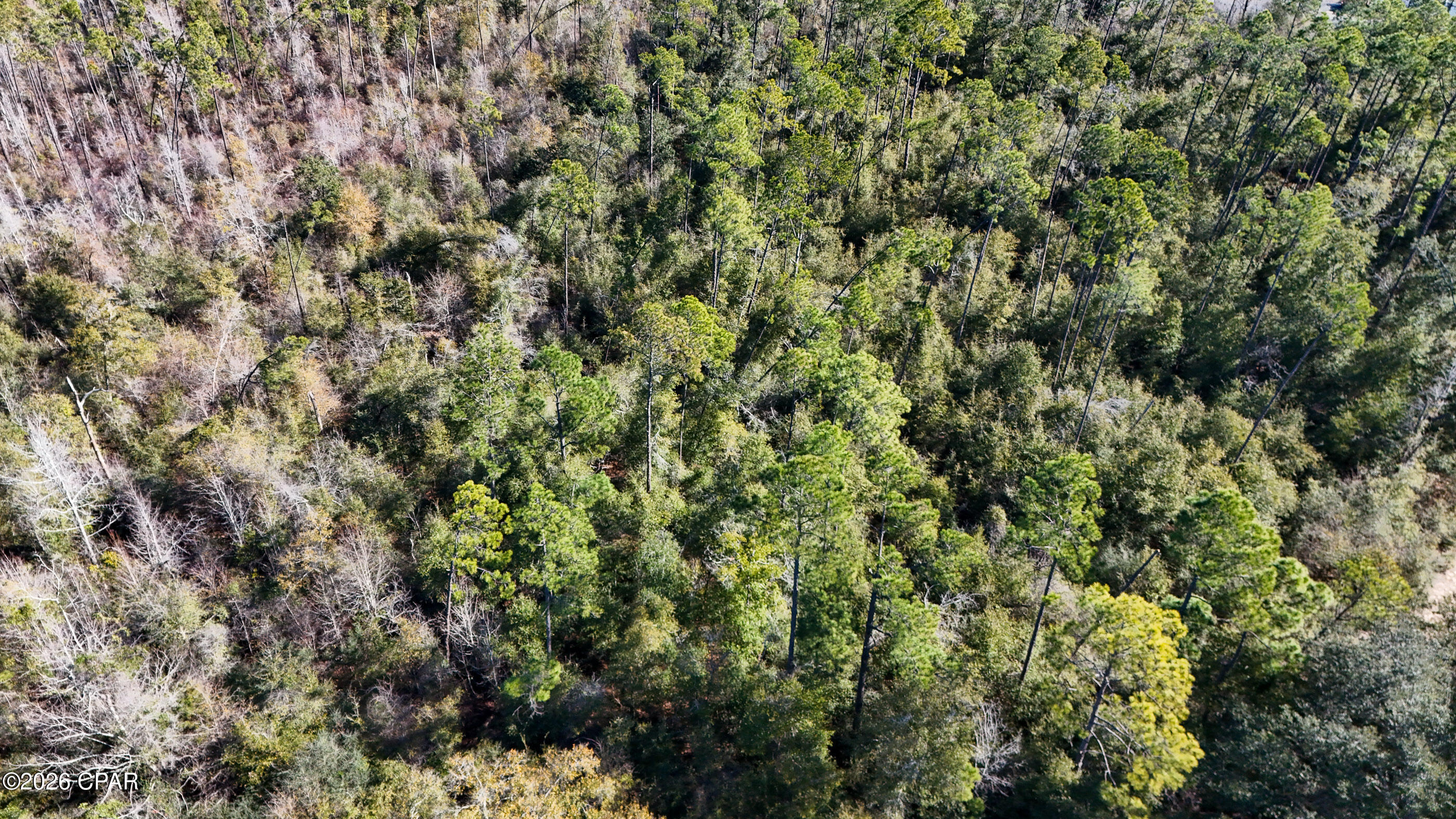 Image 26 For 2424 White Pond Church Road