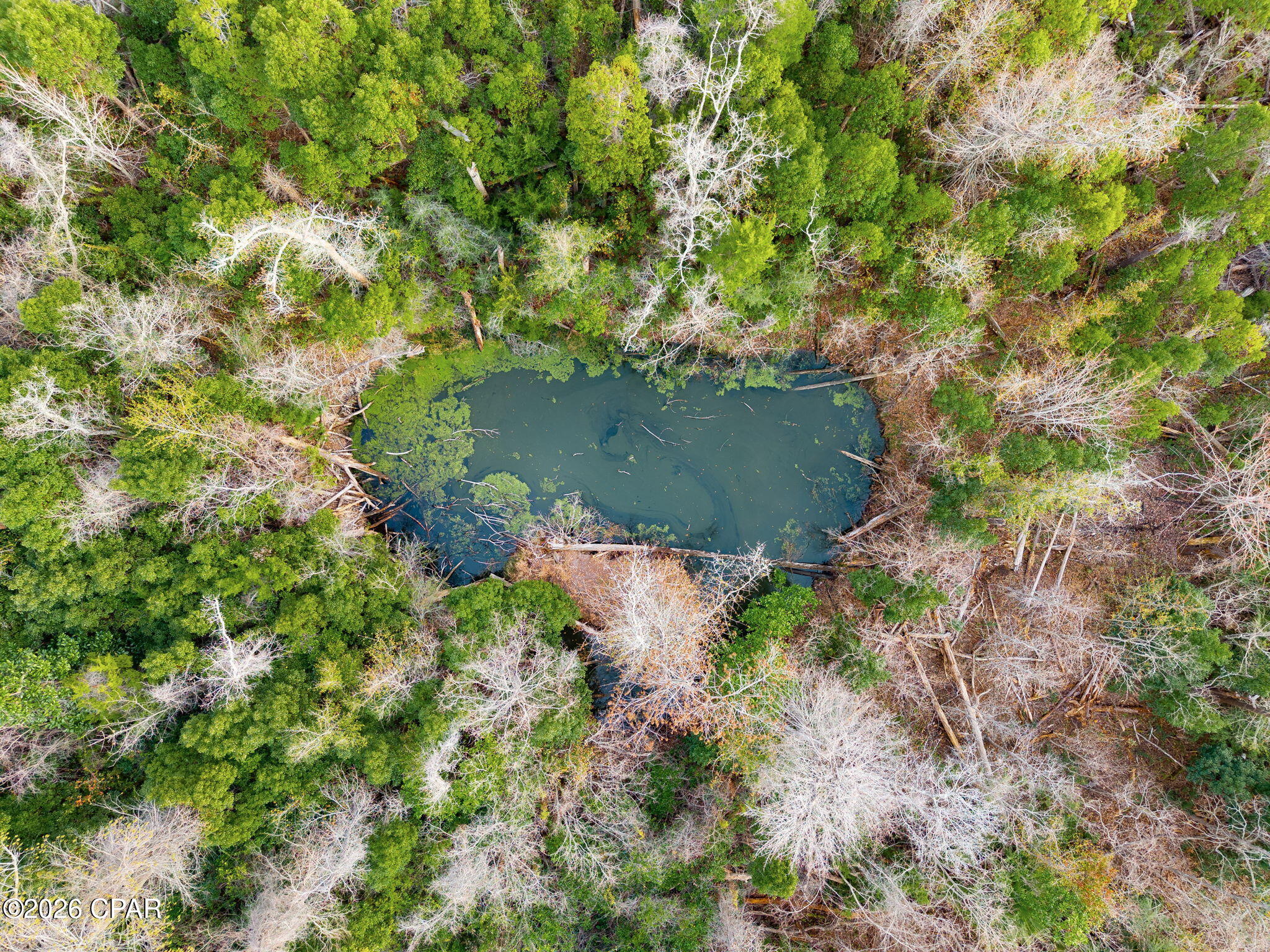 Image 48 For 5203 4th Street