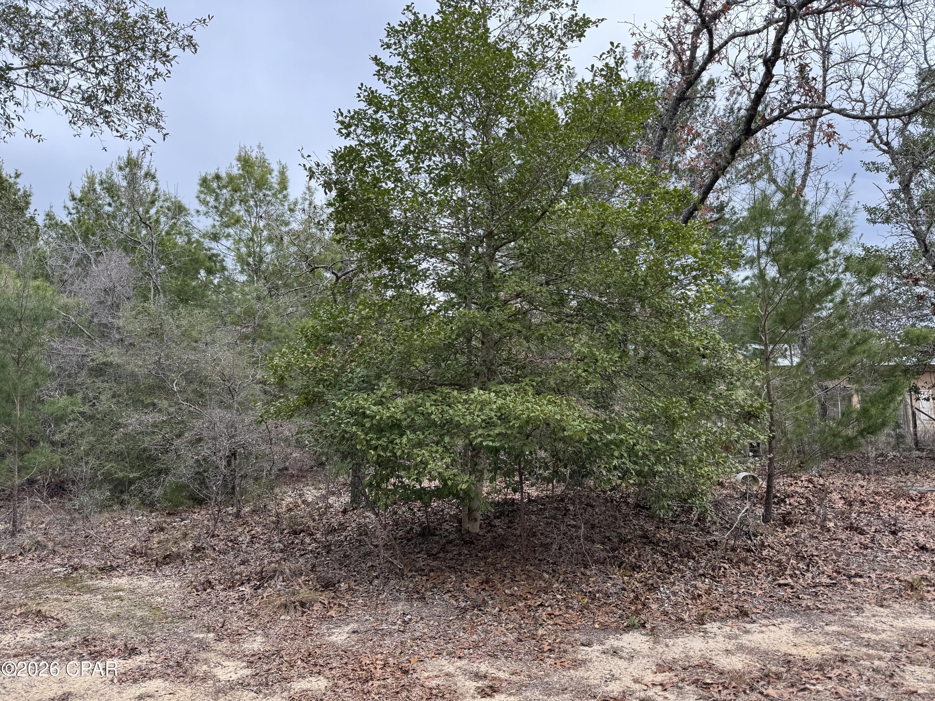 Image 39 For 3100 Bonnett Pond Road