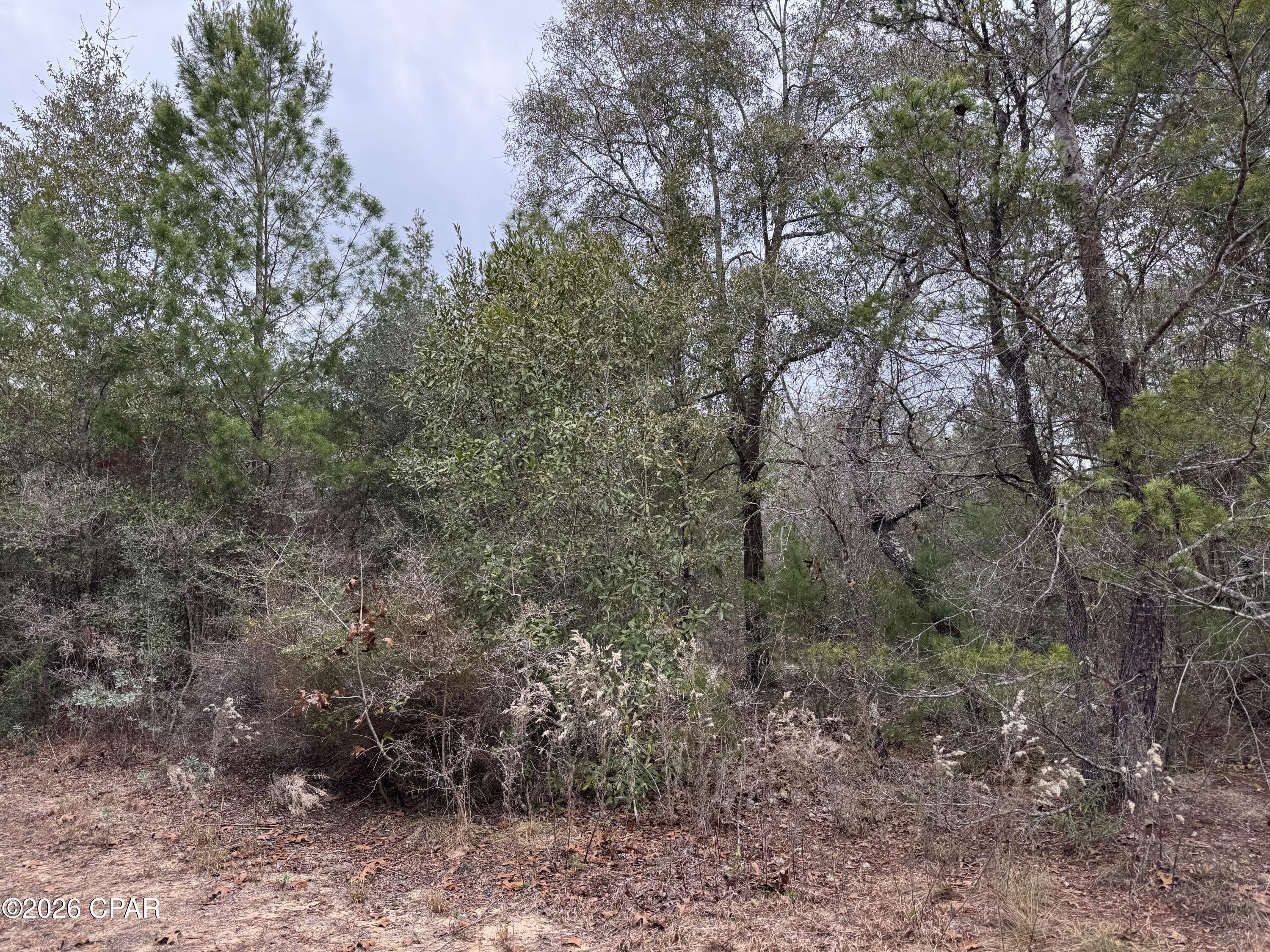 Image 40 For 3100 Bonnett Pond Road