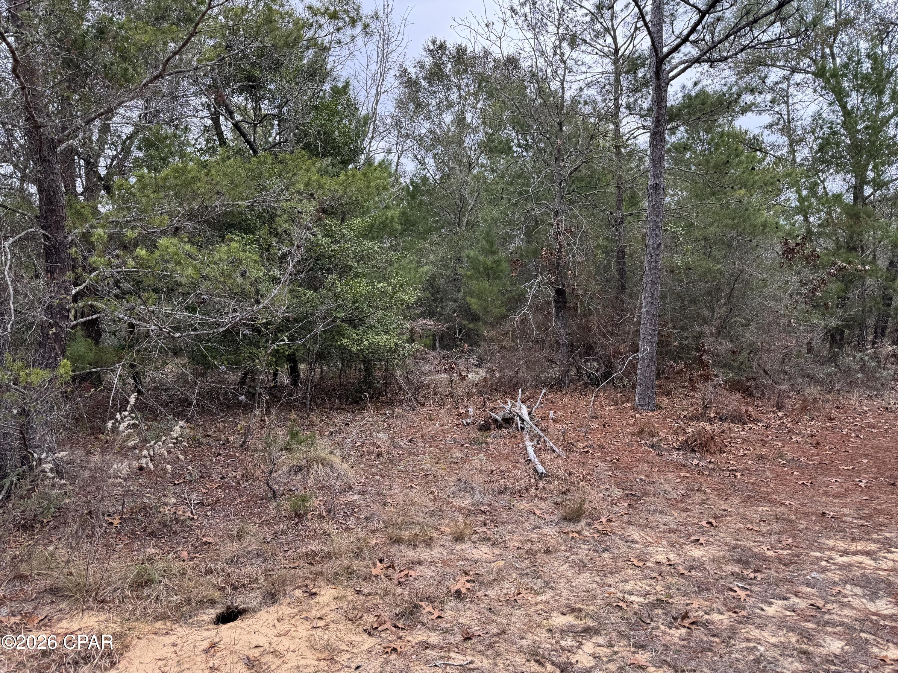 Image 41 For 3100 Bonnett Pond Road