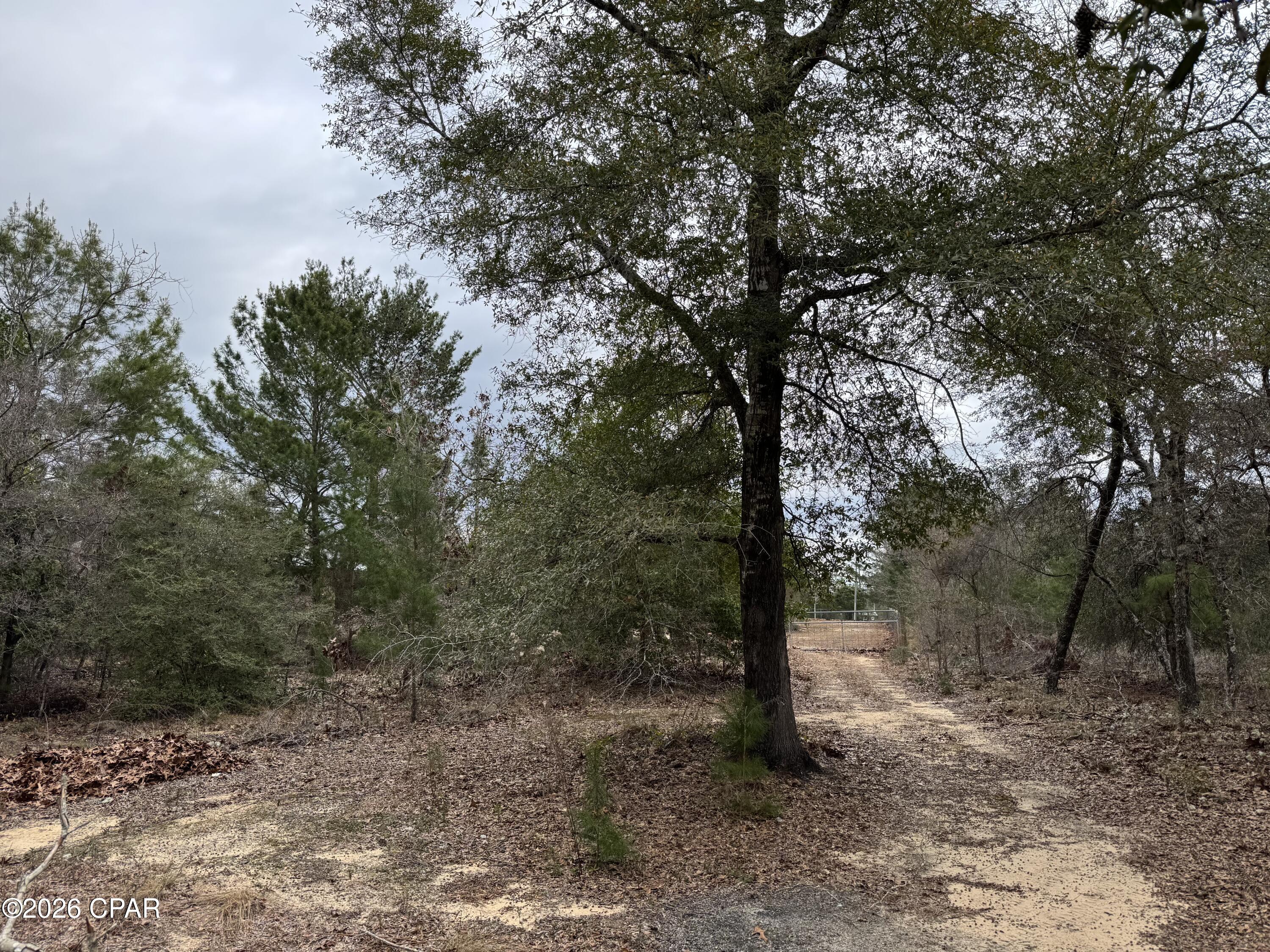 Image 43 For 3100 Bonnett Pond Road